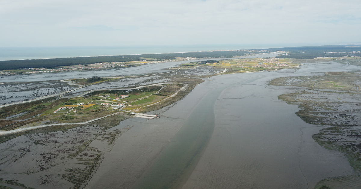 Graphical abstract - João Miguel Dias's Team